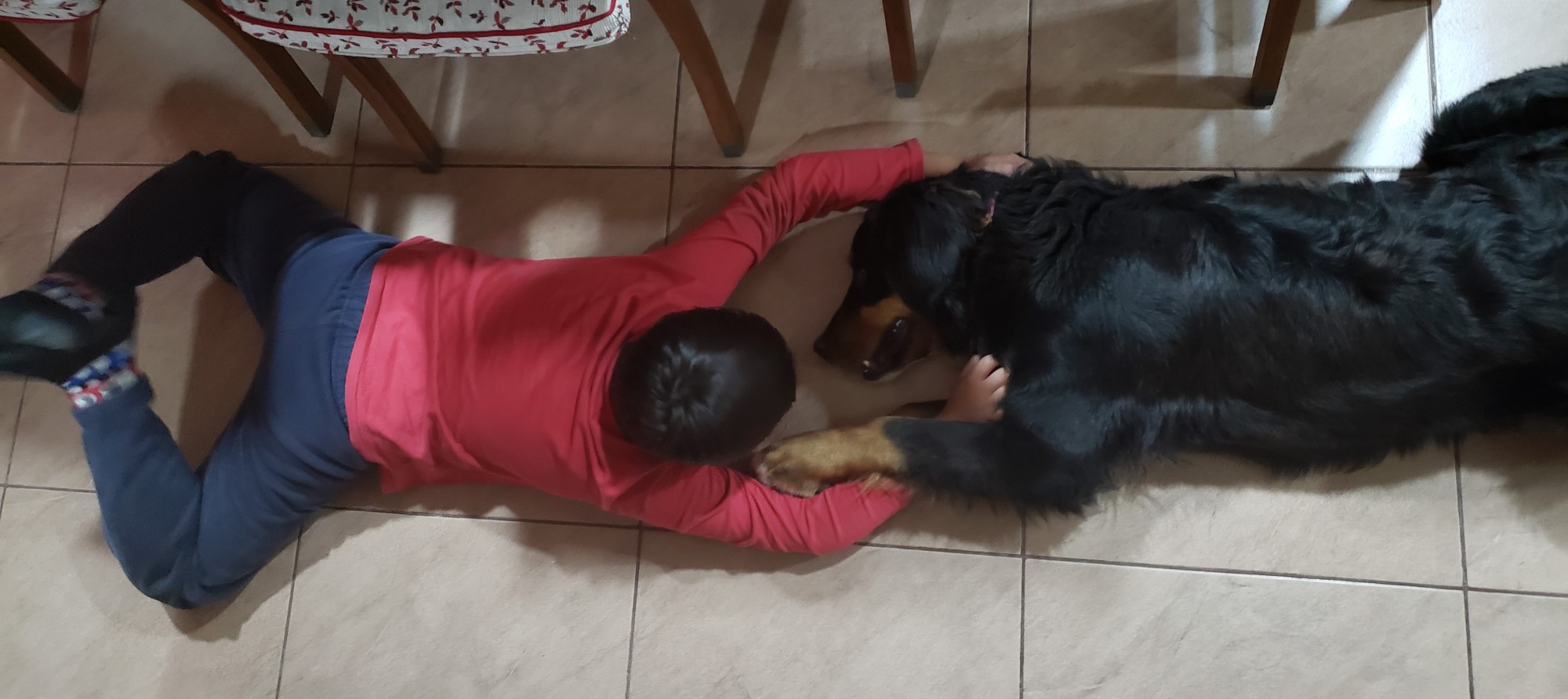 Una buena amistad para los niños…